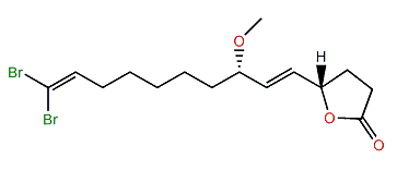 Xestospongiene F